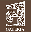 logo-vf